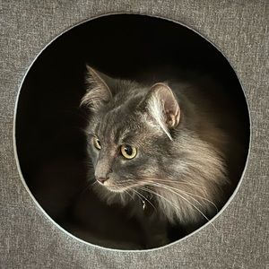 Meet your Posher, Bonnie